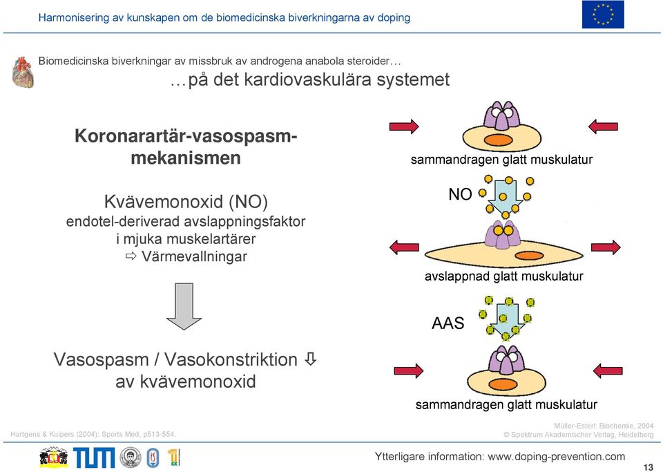 Vasospasm / Vasokonstriktion av kvävemonoxid Hartgens & Kuipers (2004): Sports Med, p513-554.