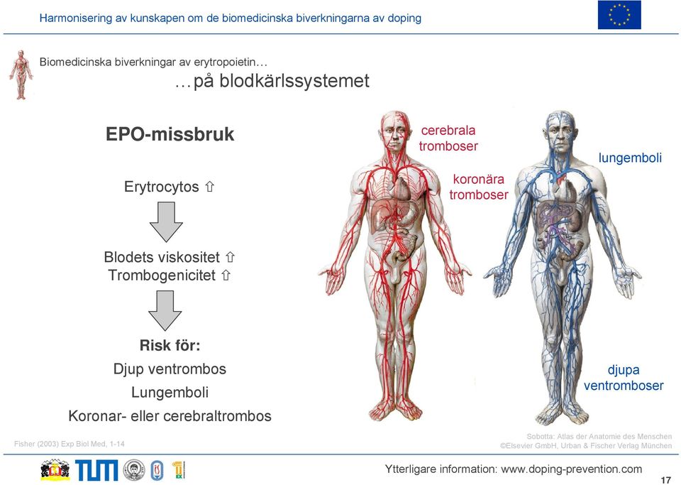 Djup ventrombos Lungemboli Koronar- eller cerebraltrombos djupa ventromboser Fisher (2003) Exp