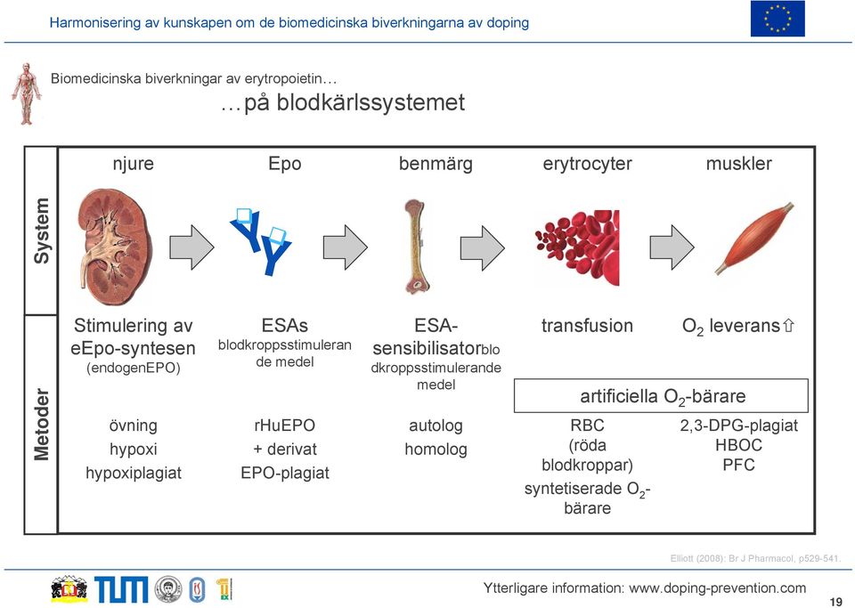 EPO-plagiat ESAsensibilisatorblo dkroppsstimulerande medel autolog homolog transfusion artificiella O 2 -bärare RBC (röda