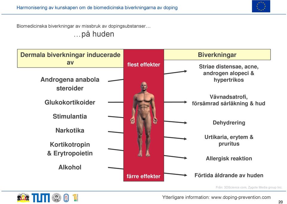 Biverkningar Striae distensae, acne, androgen alopeci & hypertrikos Vävnadsatrofi, försämrad sårläkning & hud