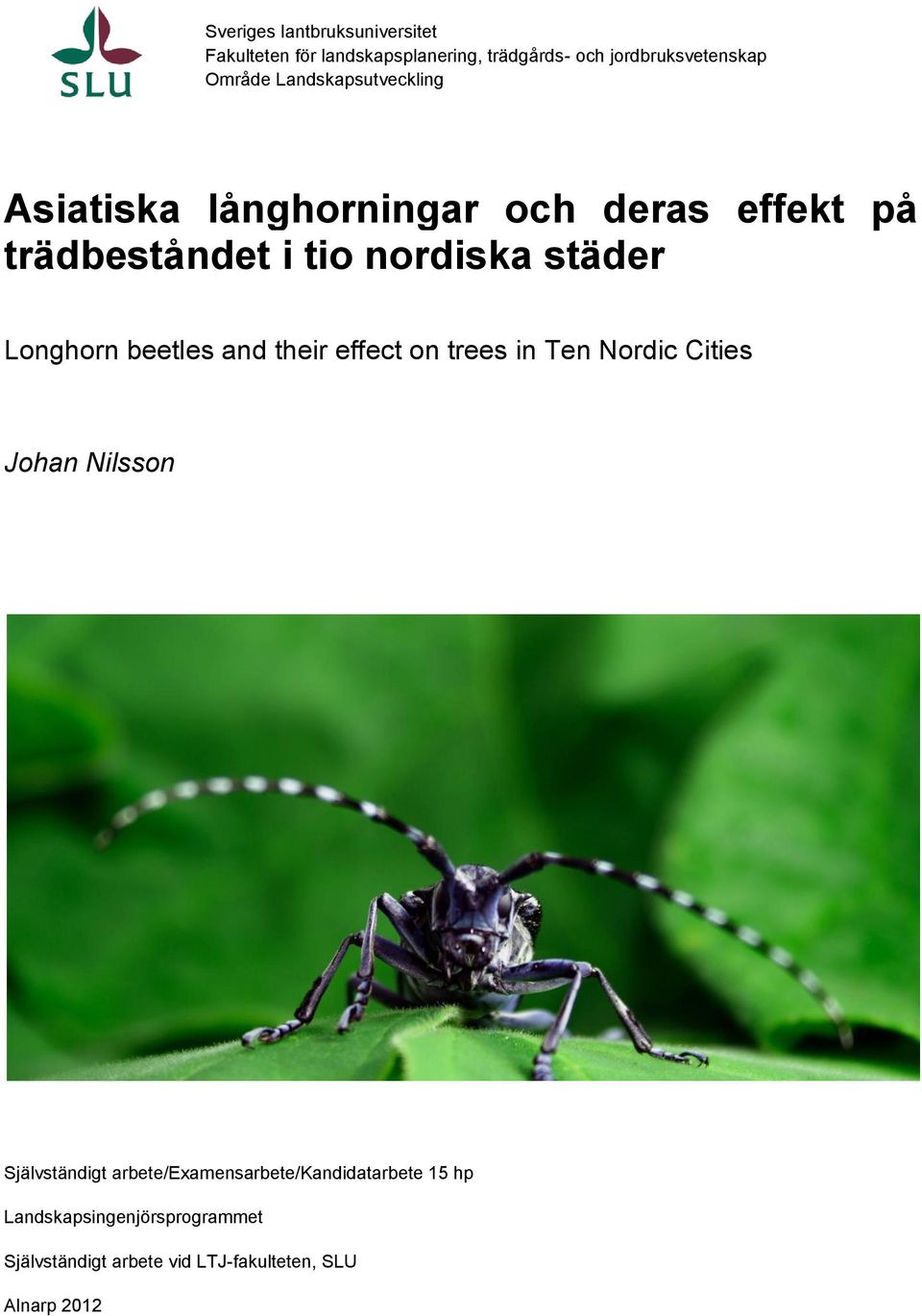 Longhorn beetles and their effect on trees in Ten Nordic Cities Johan Nilsson Självständigt