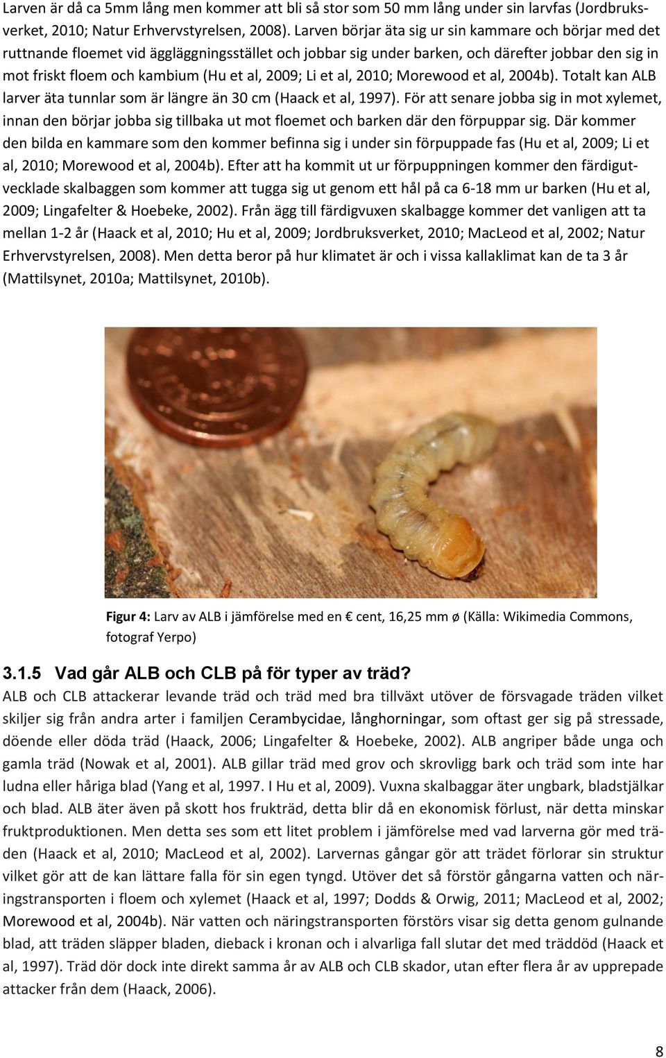 2009; Li et al, 2010; Morewood et al, 2004b). Totalt kan ALB larver äta tunnlar som är längre än 30 cm (Haack et al, 1997).