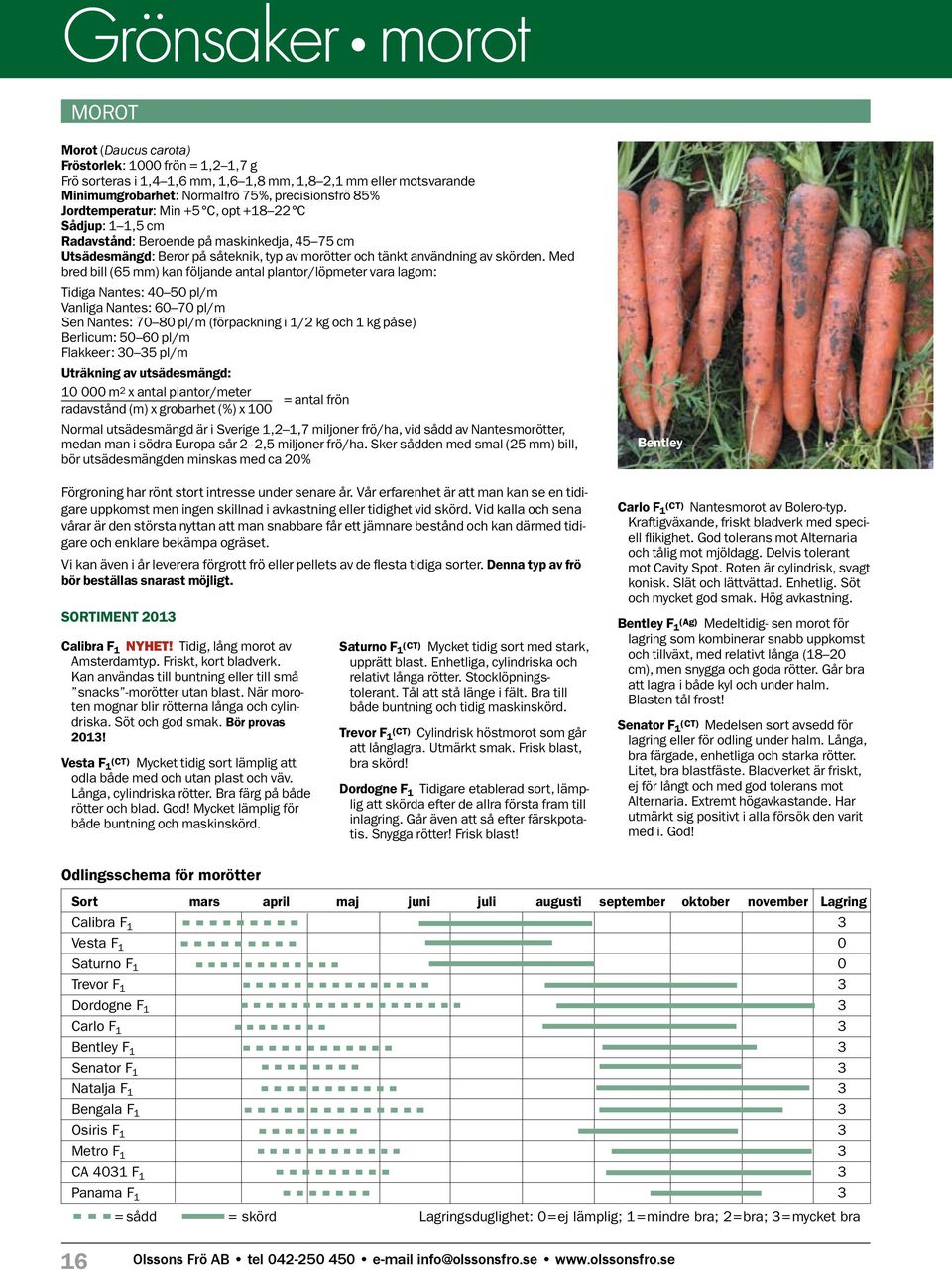 Med bred bill (65 mm) kan följande antal plantor/löpmeter vara lagom: Tidiga Nantes: 40 50 pl/m Vanliga Nantes: 60 70 pl/m Sen Nantes: 70 80 pl/m (förpackning i 1/2 kg och 1 kg påse) Berlicum: 50 60