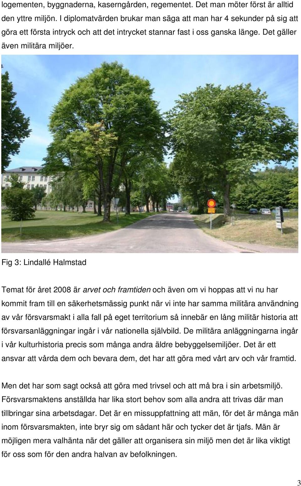 Fig 3: Lindallé Halmstad Temat för året 2008 är arvet och framtiden och även om vi hoppas att vi nu har kommit fram till en säkerhetsmässig punkt när vi inte har samma militära användning av vår