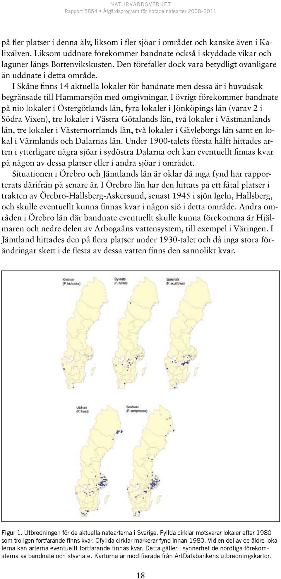 I övrigt förekommer bandnate på nio lokaler i Östergötlands län, fyra lokaler i Jönköpings län (varav 2 i Södra Vixen), tre lokaler i Västra Götalands län, två lokaler i Västmanlands län, tre lokaler