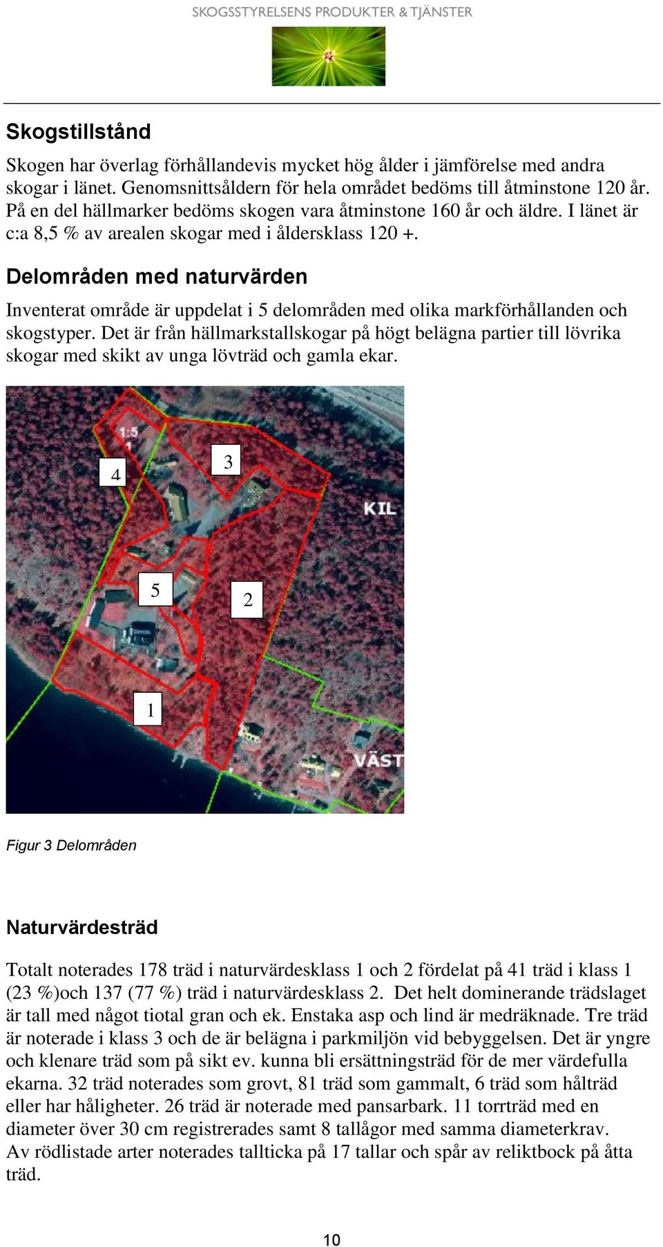 Delområden med naturvärden Inventerat område är uppdelat i 5 delområden med olika markförhållanden och skogstyper.