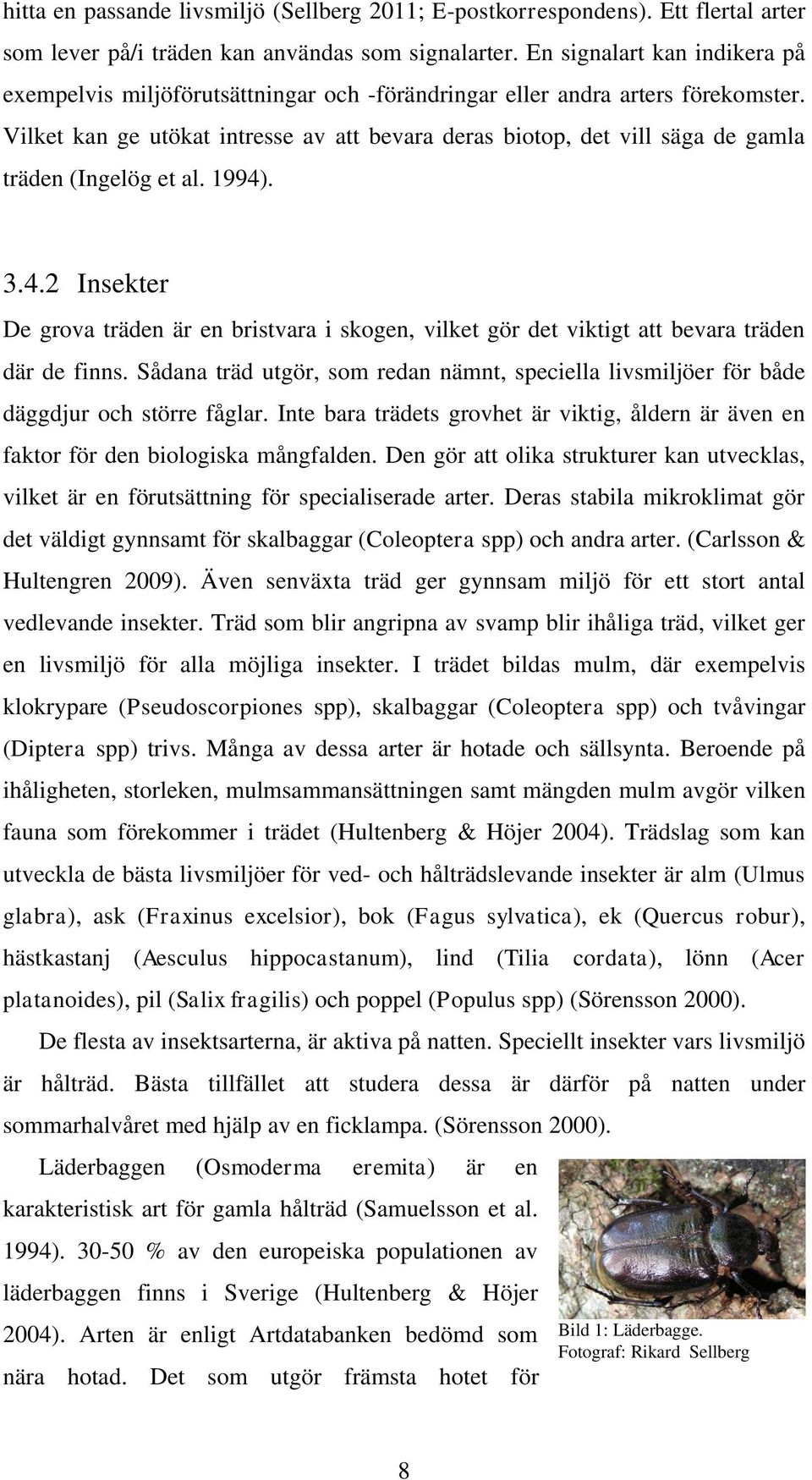 Vilket kan ge utökat intresse av att bevara deras biotop, det vill säga de gamla träden (Ingelög et al. 1994)