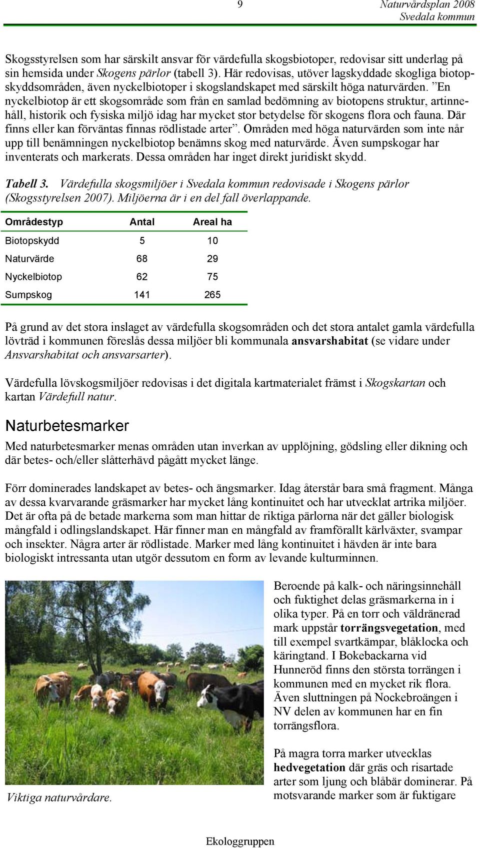 En nyckelbiotop är ett skogsområde som från en samlad bedömning av biotopens struktur, artinnehåll, historik och fysiska miljö idag har mycket stor betydelse för skogens flora och fauna.