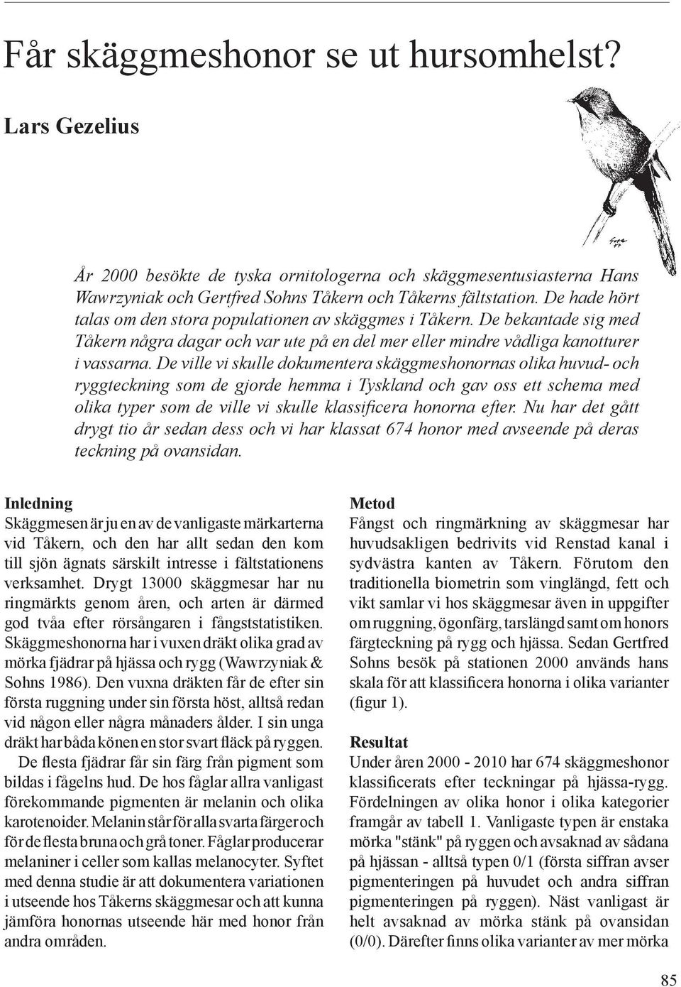 De ville vi skulle dokumentera skäggmeshonornas olika huvud- och ryggteckning som de gjorde hemma i Tyskland och gav oss ett schema med olika typer som de ville vi skulle klassificera honorna efter.