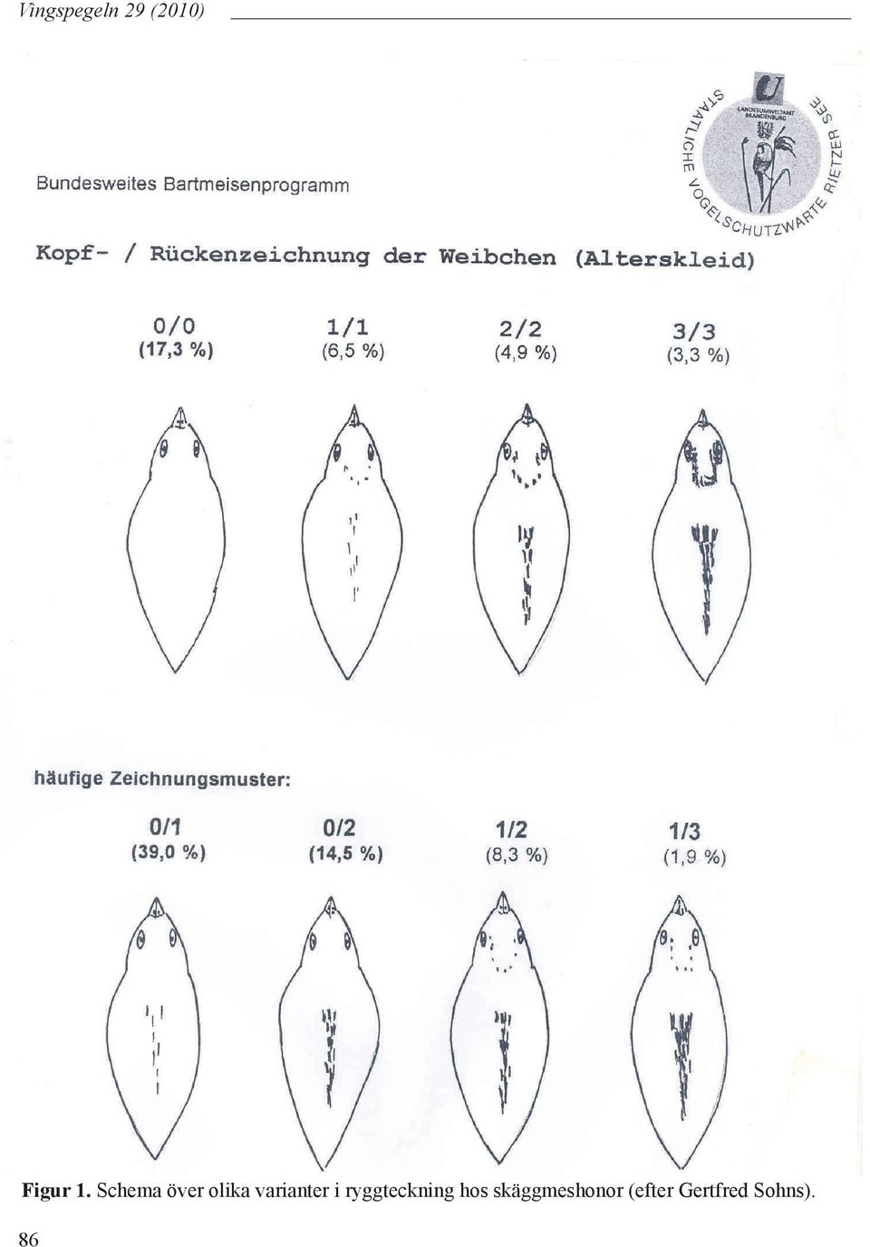 ryggteckning hos