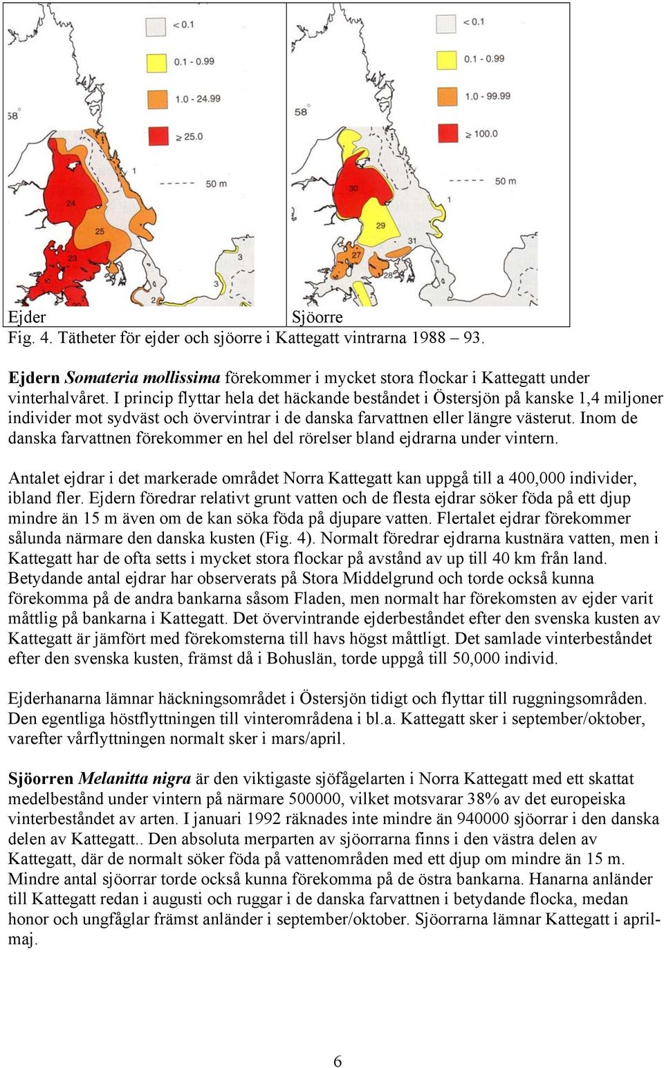 Inom de danska farvattnen förekommer en hel del rörelser bland ejdrarna under vintern. Antalet ejdrar i det markerade området Norra Kattegatt kan uppgå till a 400,000 individer, ibland fler.