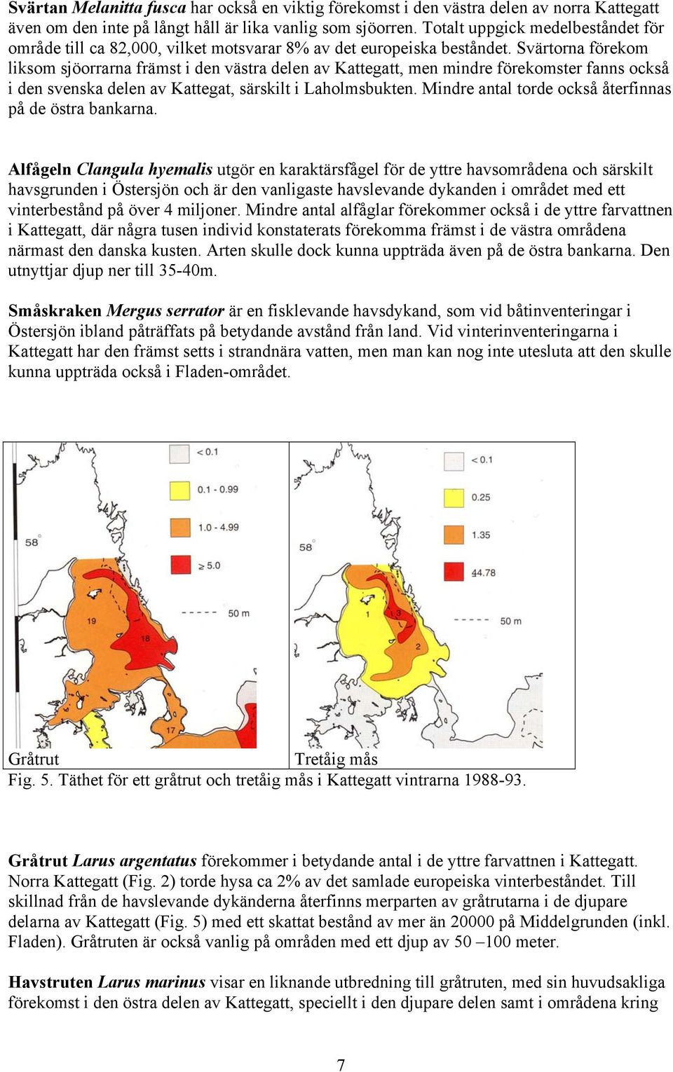 Svärtorna förekom liksom sjöorrarna främst i den västra delen av Kattegatt, men mindre förekomster fanns också i den svenska delen av Kattegat, särskilt i Laholmsbukten.