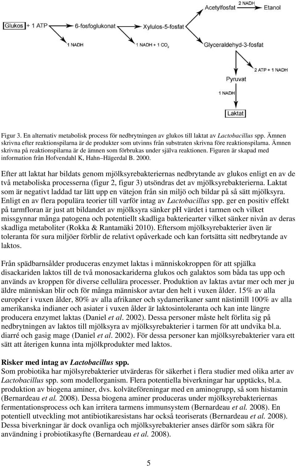 Figuren är skapad med information från Hofvendahl K, Hahn Hägerdal B. 2000.