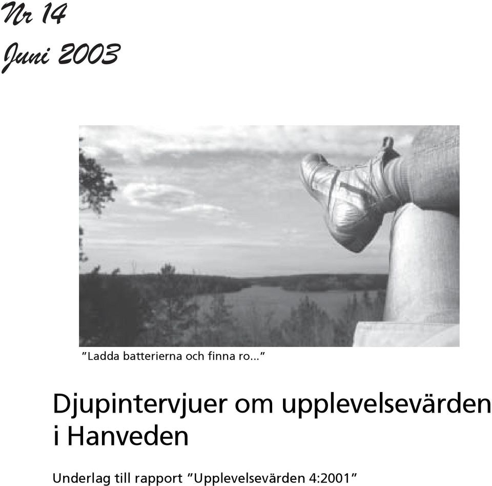 .. Djupintervjuer om