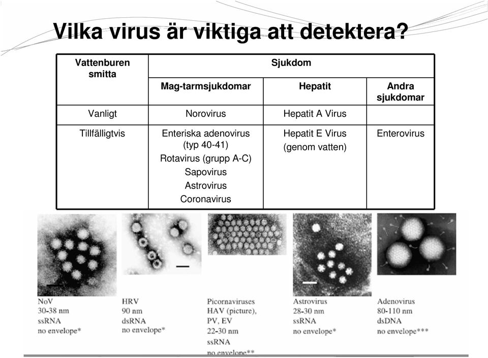 Vanligt Norovirus Hepatit A Virus Tillfälligtvis Enteriska adenovirus