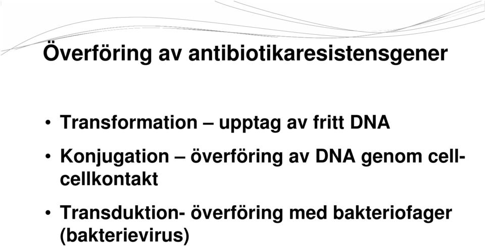 överföring av DNA genom cellcellkontakt