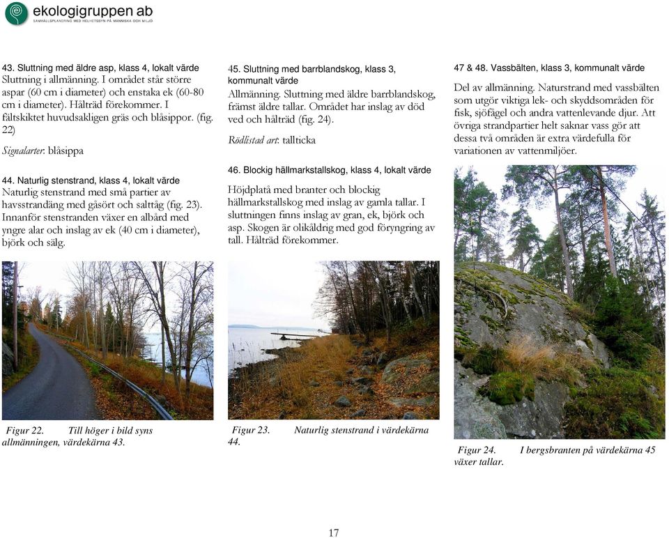 Naturlig stenstrand, klass 4, lokalt värde Naturlig stenstrand med små partier av havsstrandäng med gåsört och salttåg (fig. 23).