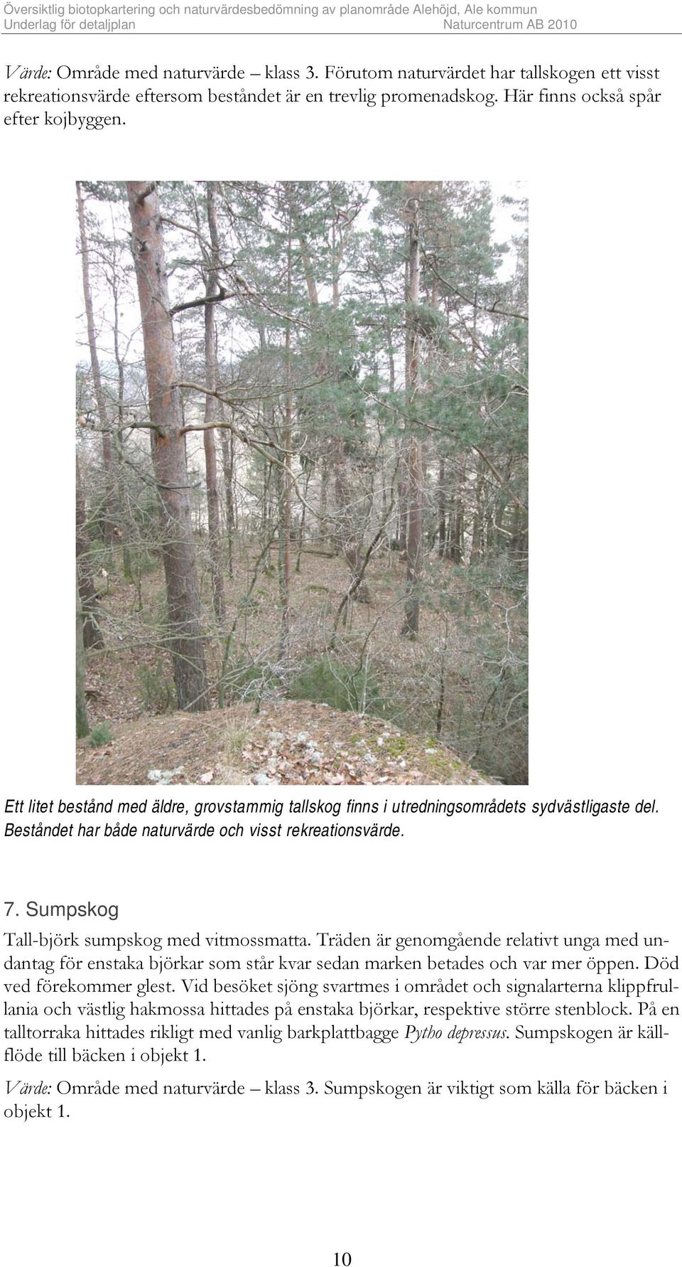 Sumpskog Tall-björk sumpskog med vitmossmatta. Träden är genomgående relativt unga med undantag för enstaka björkar som står kvar sedan marken betades och var mer öppen. Död ved förekommer glest.