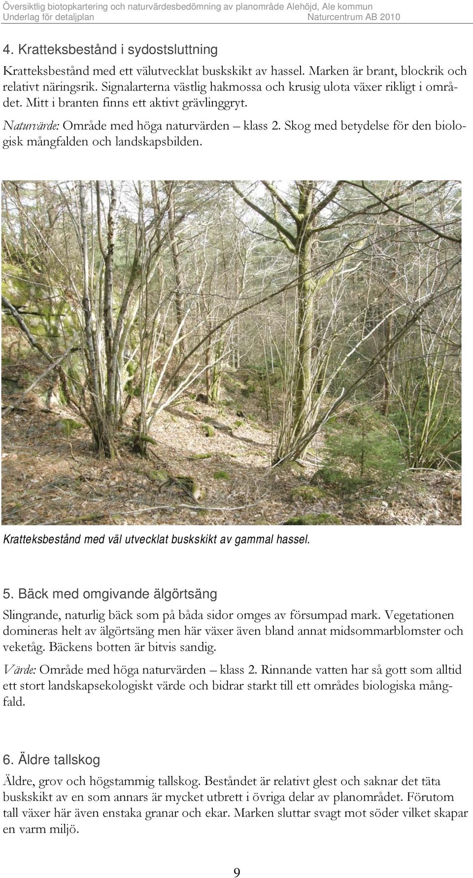 Skog med betydelse för den biologisk mångfalden och landskapsbilden. Kratteksbestånd med väl utvecklat buskskikt av gammal hassel. 5.