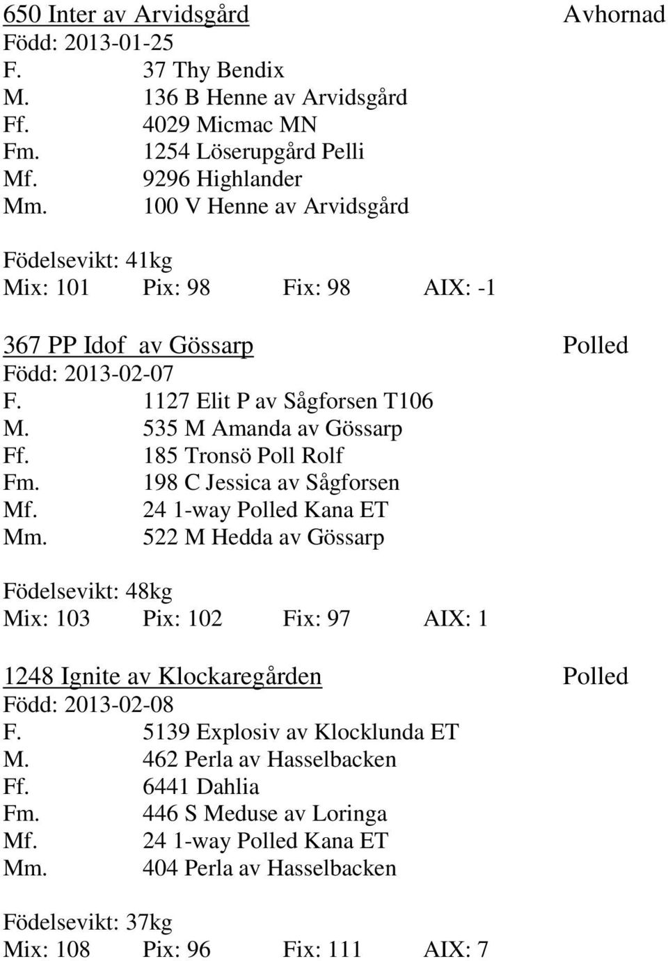 185 Tronsö Poll Rolf Fm. 198 C Jessica av Sågforsen Mf. 24 1-way Polled Kana ET Mm.