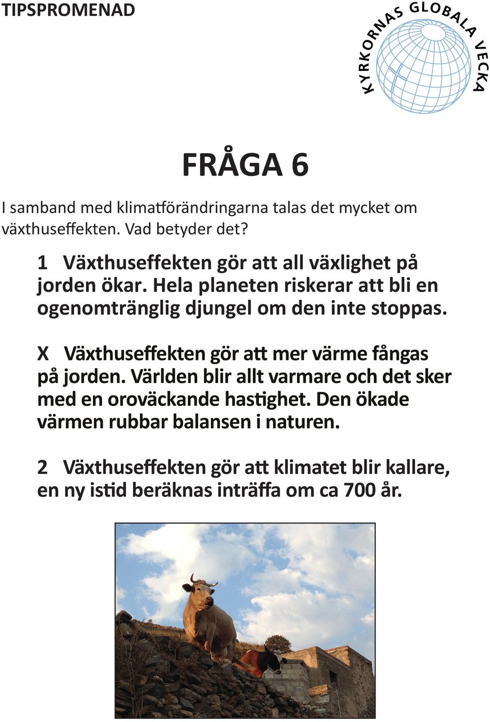 Hela planeten riskerar att bli en ogenomtränglig djungel om den inte stoppas.