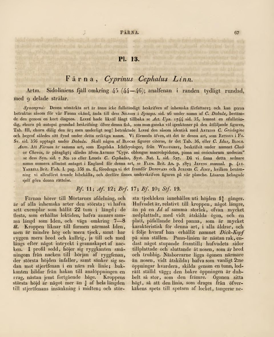 Dobulcij bestämde den genom en kort diagnos. Linné hade likväl långt tillbaka se Act. Ups.