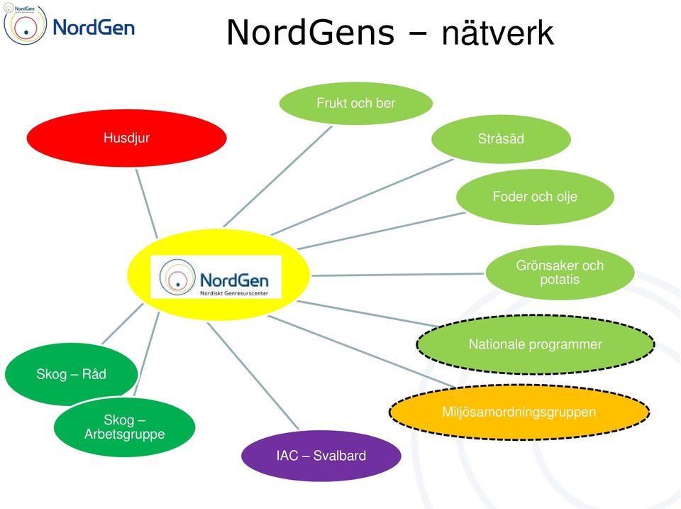 potatis Nationale programmer Skog Råd