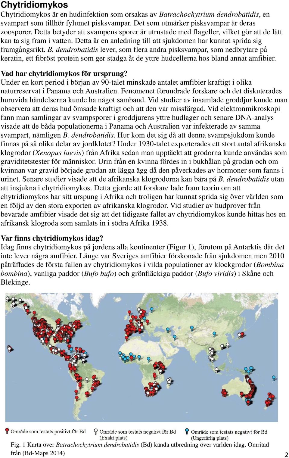 dendrobatidis lever, som flera andra pisksvampar, som nedbrytare på keratin, ett fibröst protein som ger stadga åt de yttre hudcellerna hos bland annat amfibier. Vad har chytridiomykos för ursprung?