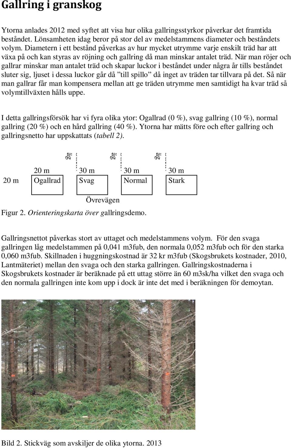 Diametern i ett bestånd påverkas av hur mycket utrymme varje enskilt träd har att växa på och kan styras av röjning och gallring då man minskar antalet träd.