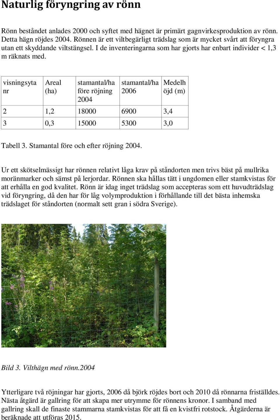 visningsyta nr Areal (ha) stamantal/ha före röjning 2004 stamantal/ha 2006 2 1,2 18000 6900 3,4 3 0,3 15000 5300 3,0 Medelh öjd (m) Tabell 3. Stamantal före och efter röjning 2004.