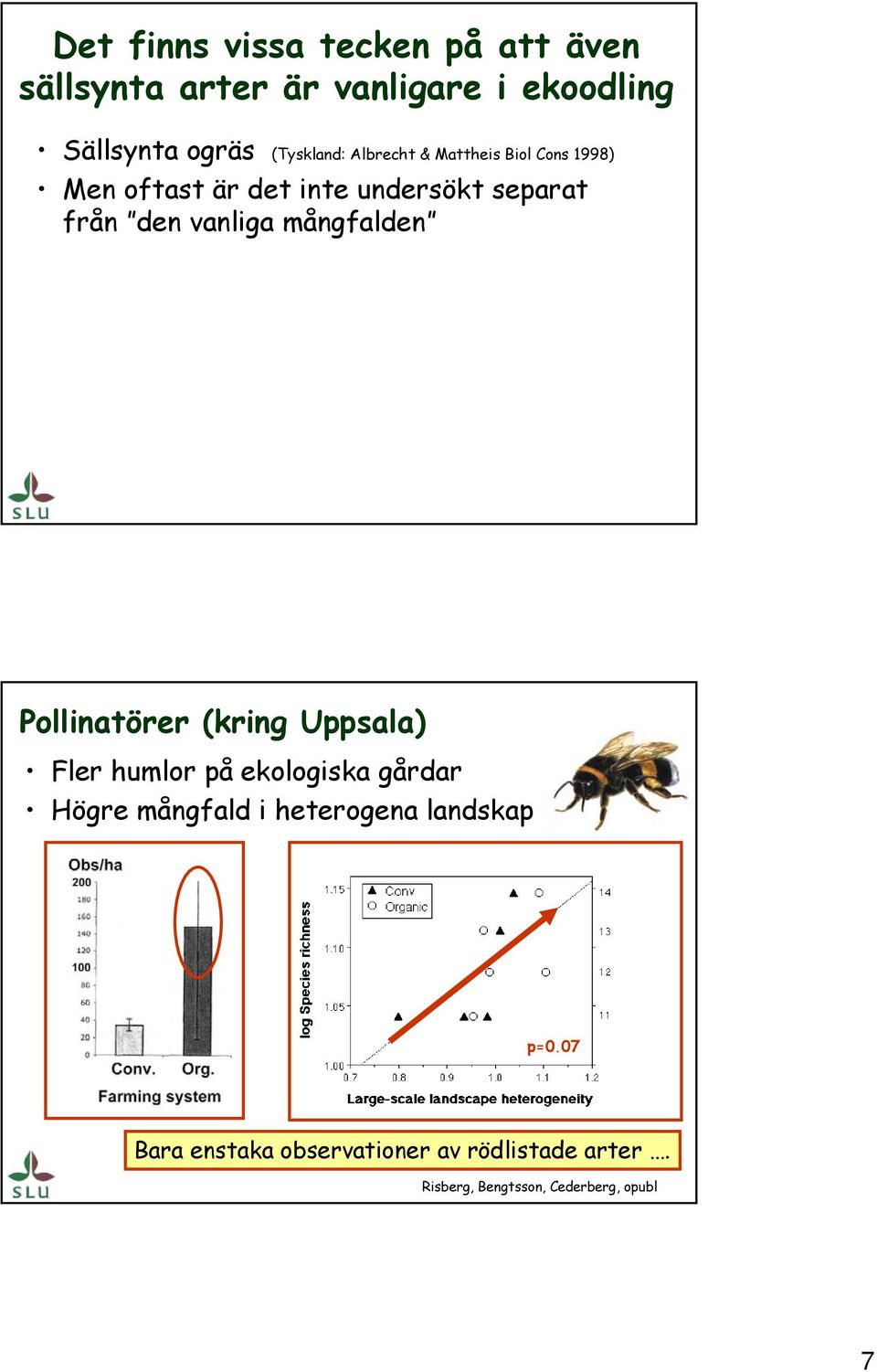 vanliga mångfalden Pollinatörer (kring Uppsala) Fler humlor på ekologiska gårdar Högre mångfald i