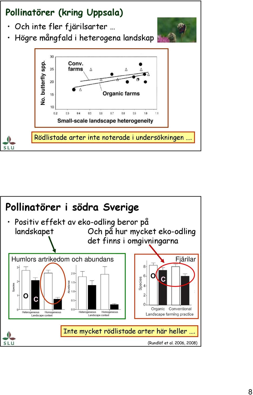 Pollinatörer i södra Sverige Positiv effekt av eko-odling beror på landskapet Och på hur mycket