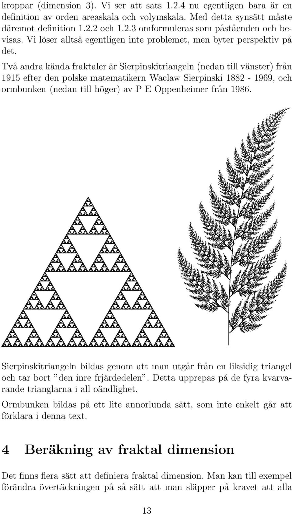 Tva andra ka nda fraktaler a r Sierpinskitriangeln (nedan till va nster) fra n 1915 efter den polske matematikern Waclaw Sierpinski 1882-1969, och ormbunken (nedan till ho ger) av P E Oppenheimer fra