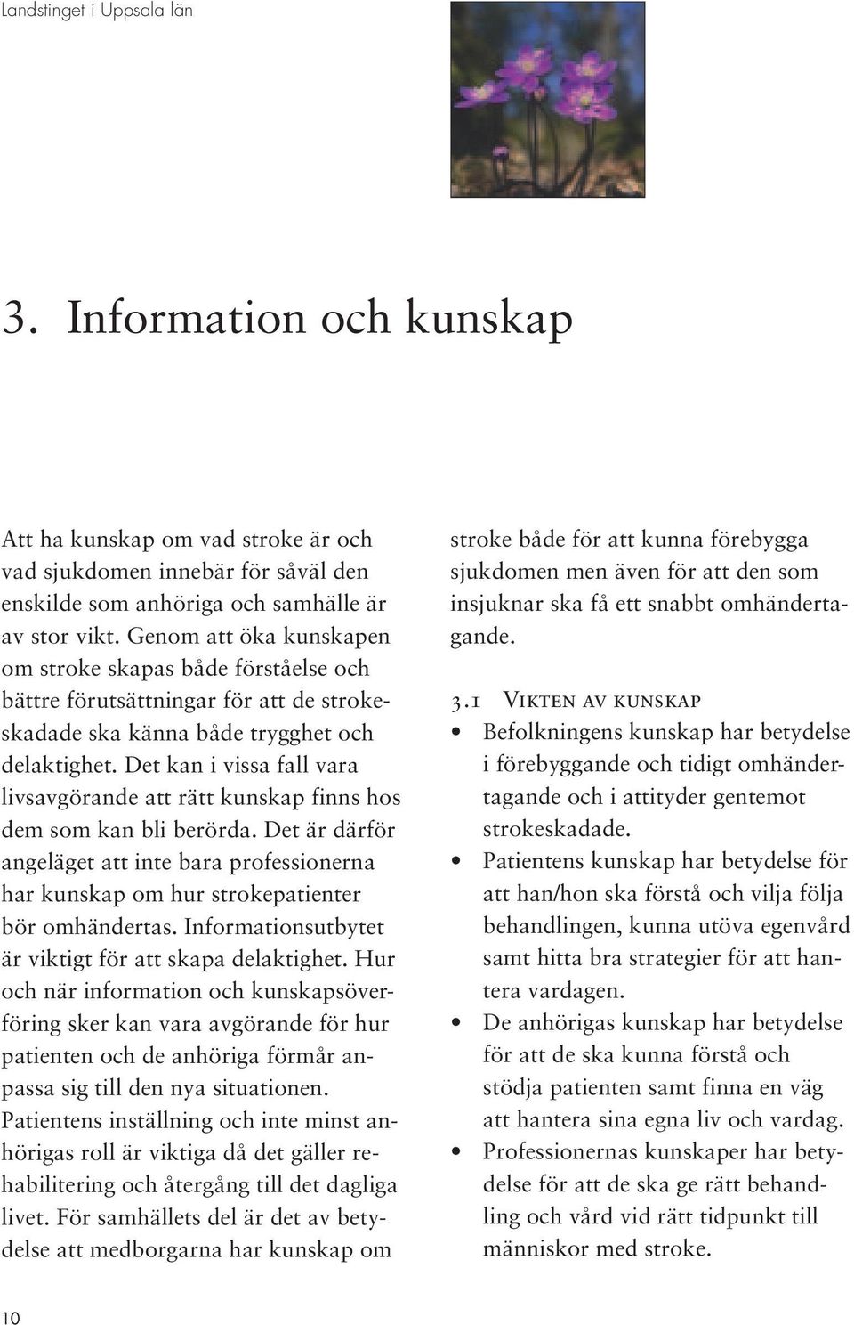 Det kan i vissa fall vara livsavgörande att rätt kunskap finns hos dem som kan bli berörda. Det är därför angeläget att inte bara professionerna har kunskap om hur strokepatienter bör omhändertas.