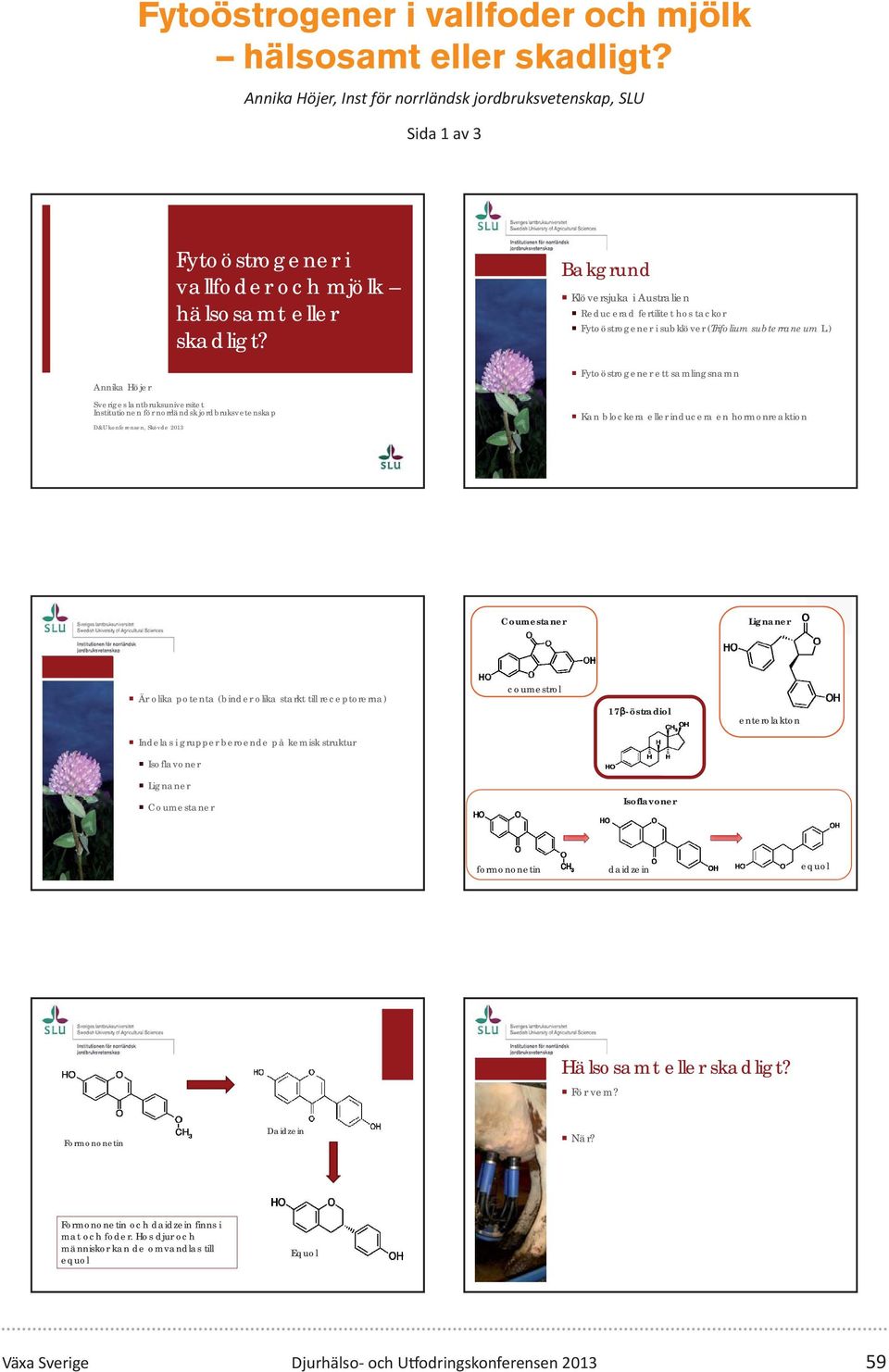 Coumestaner Lignaner Är olika potenta (binder olika starkt till receptorerna) coumestrol 17 -östradiol enterolakton Indelas i grupper beroende på kemisk struktur Isoflavoner Lignaner Coumestaner