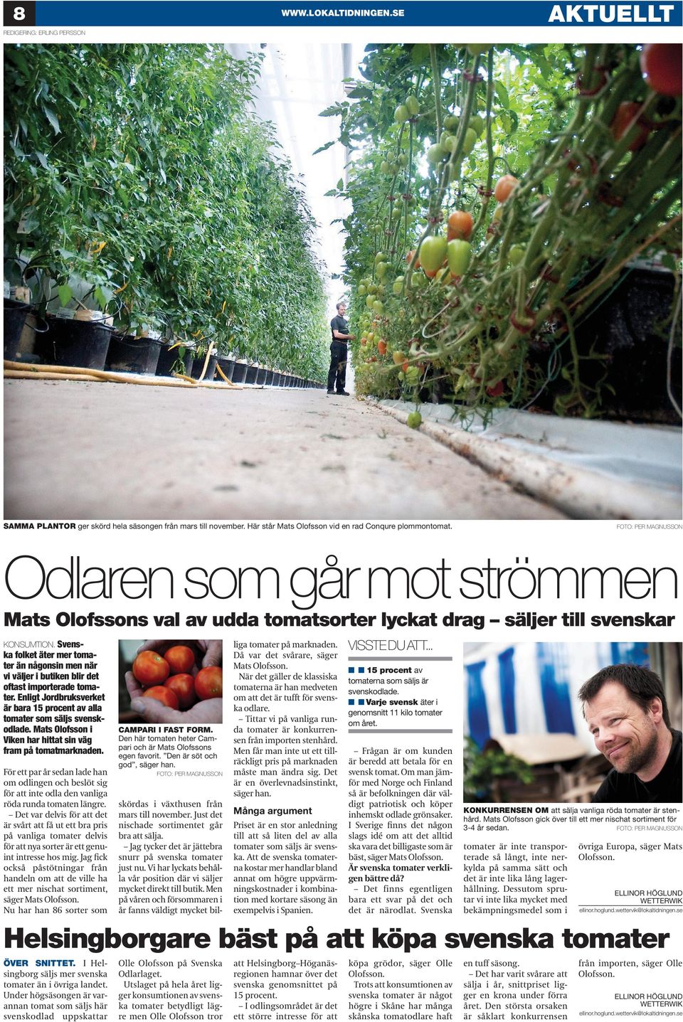 Svenska folket äter mer tomater än någonsin men när vi väljer i butiken blir det oftast importerade tomater. Enligt Jordbruksverket är bara 15 procent av alla tomater som säljs svenskodlade.