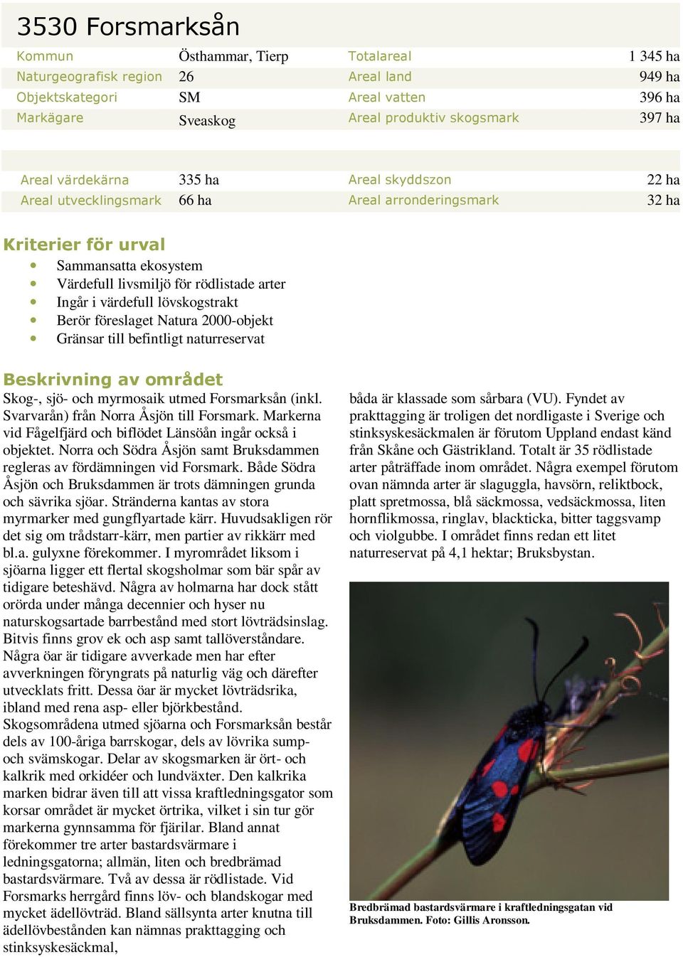 värdefull lövskogstrakt Berör föreslaget Natura 2000-objekt Gränsar till befintligt naturreservat Beskrivning av området Skog-, sjö- och myrmosaik utmed Forsmarksån (inkl.