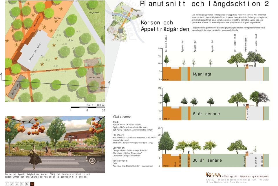 Äldre träd som sparats kan efter en tid behöva bytas ut mot nya (se träd till höger i längdsektion).