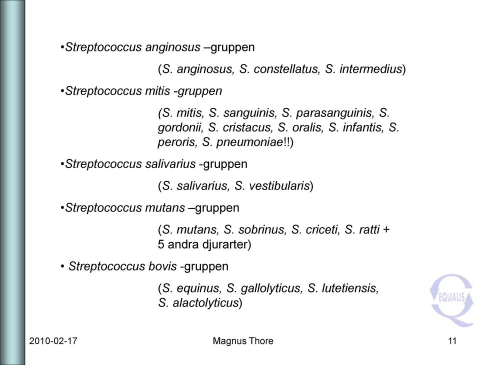 pneumoniae!!) (S. salivarius, S. vestibularis) Streptococcus mutans gruppen Streptococcus bovis -gruppen (S. mutans, S.