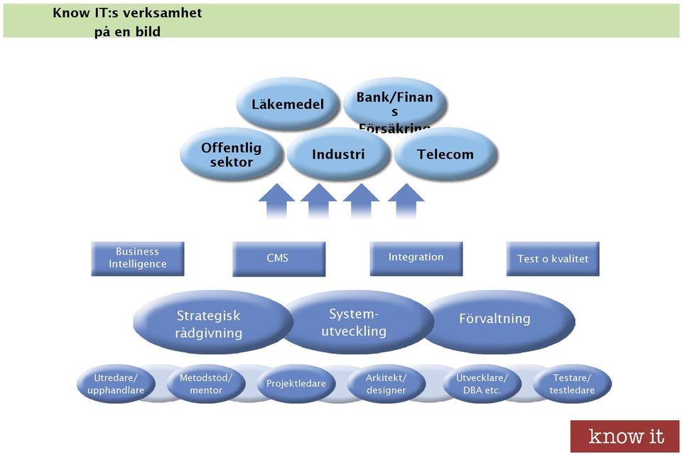 Strategisk rådgivning Systemutveckling Förvaltning Utredare/ upphandlare