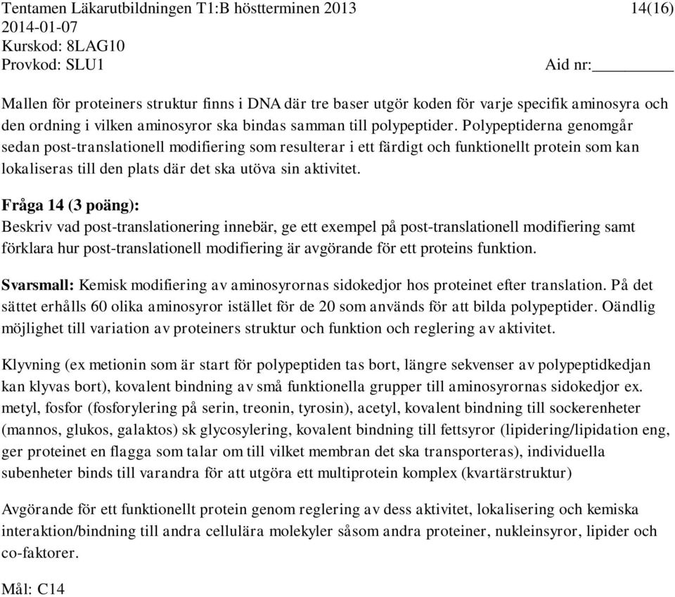 Polypeptiderna genomgår sedan post-translationell modifiering som resulterar i ett färdigt och funktionellt protein som kan lokaliseras till den plats där det ska utöva sin aktivitet.