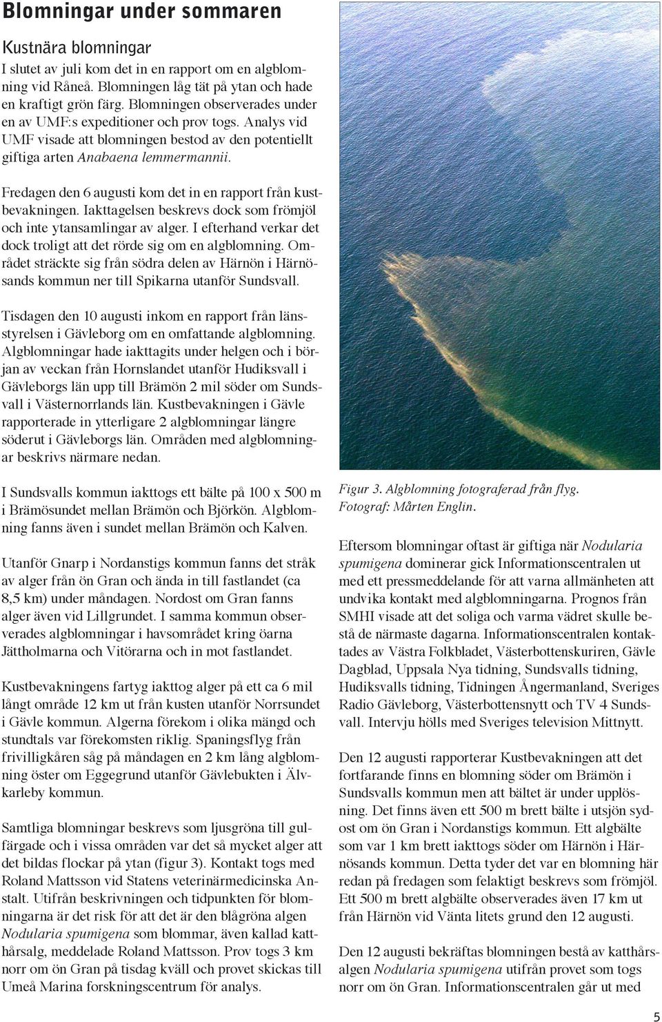 Fredagen den 6 augusti kom det in en rapport från kustbevakningen. Iakttagelsen beskrevs dock som frömjöl och inte ytansamlingar av alger.