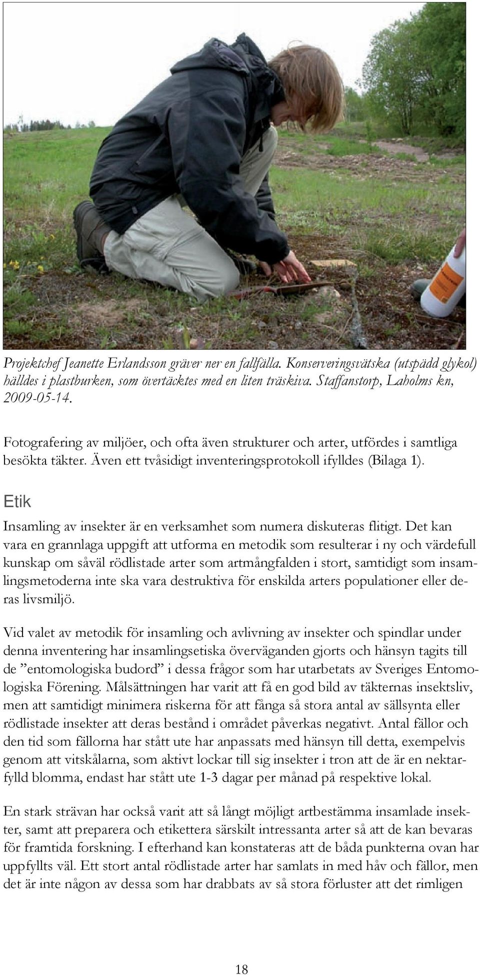 Etik Insamling av insekter är en verksamhet som numera diskuteras flitigt.