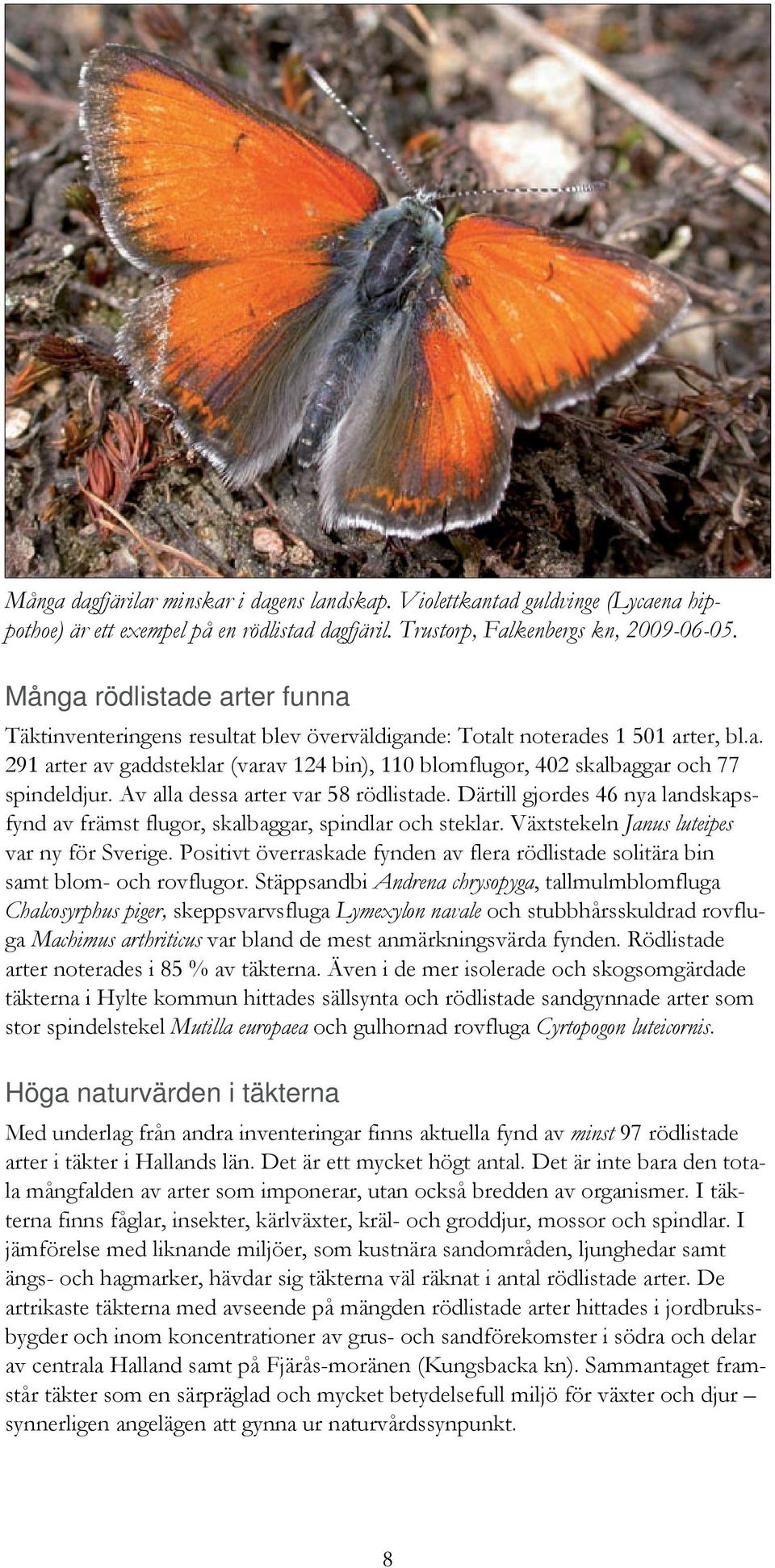 Av alla dessa arter var 58 rödlistade. Därtill gjordes 46 nya fynd av främst flugor, skalbaggar, spindlar och steklar. Växtstekeln Janus luteipes var ny för Sverige.