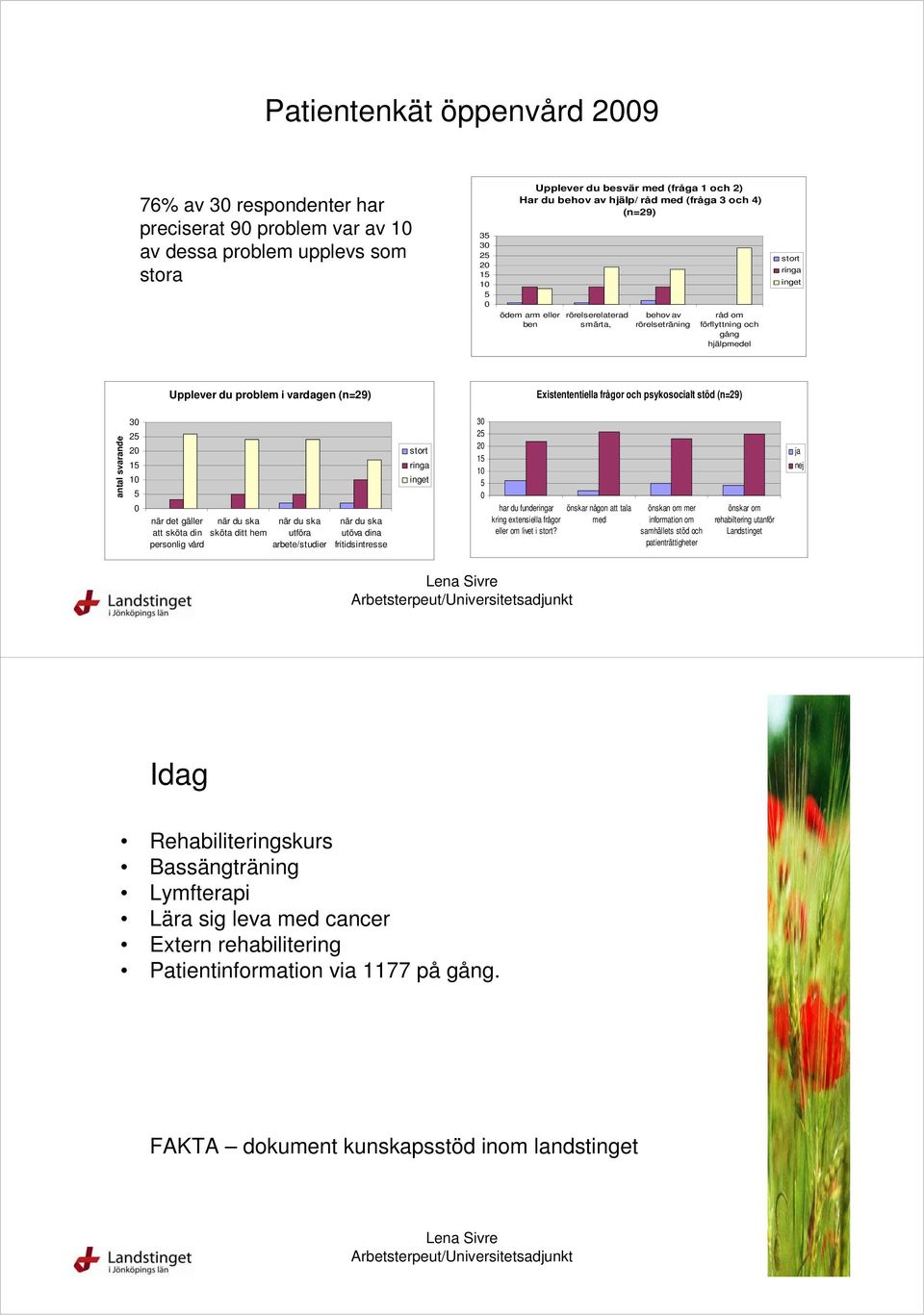 (n=29) Existententiella frågor och psykosocialt stöd (n=29) antal svarande 30 25 20 15 10 5 0 när det gäller att sköta din personlig vård när du ska sköta ditt hem när du ska utföra arbete/studier