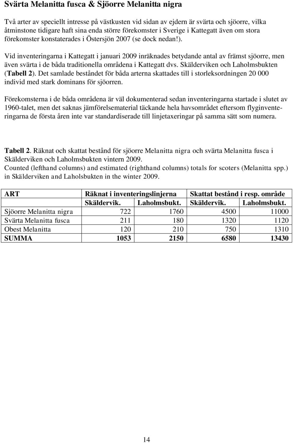 Vid inventeringarna i Kattegatt i januari 2009 inräknades betydande antal av främst sjöorre, men även svärta i de båda traditionella områdena i Kattegatt dvs.