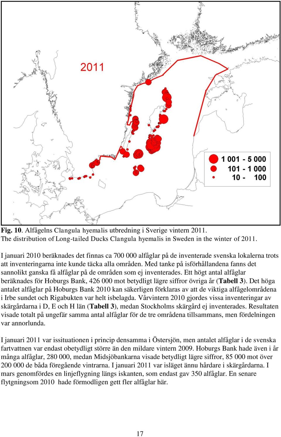 Med tanke på isförhållandena fanns det sannolikt ganska få alfåglar på de områden som ej inventerades.