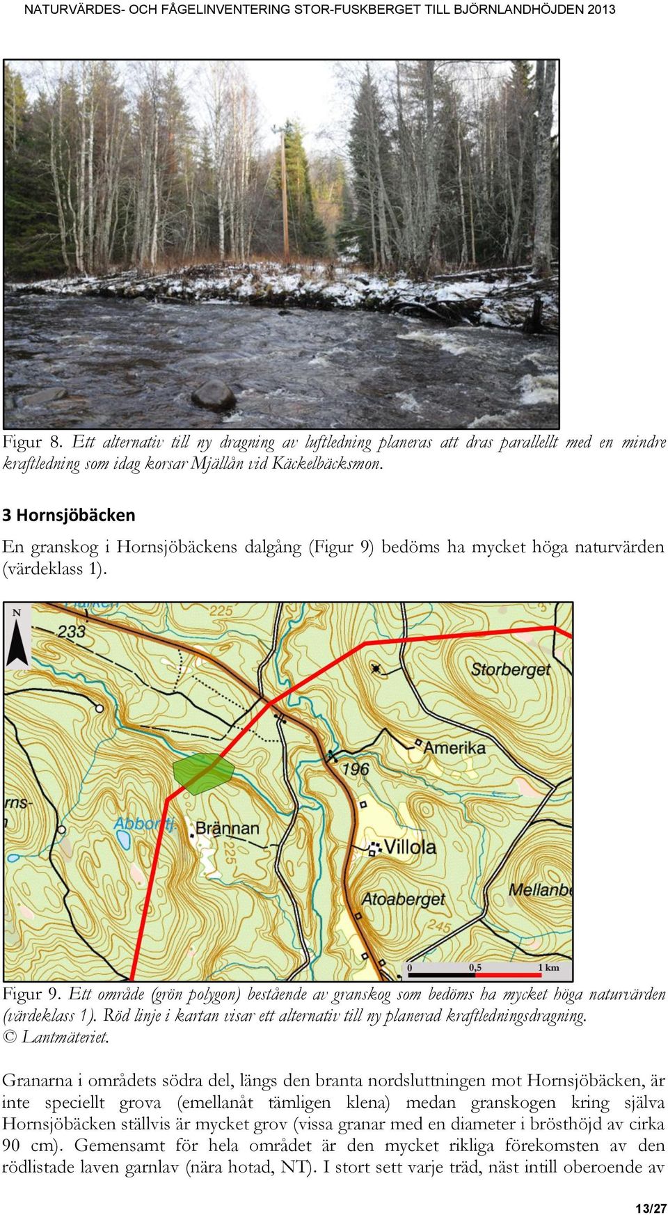 Ett område (grön polygon) bestående av granskog som bedöms ha mycket höga naturvärden (värdeklass 1). Röd linje i kartan visar ett alternativ till ny planerad kraftledningsdragning. Lantmäteriet.