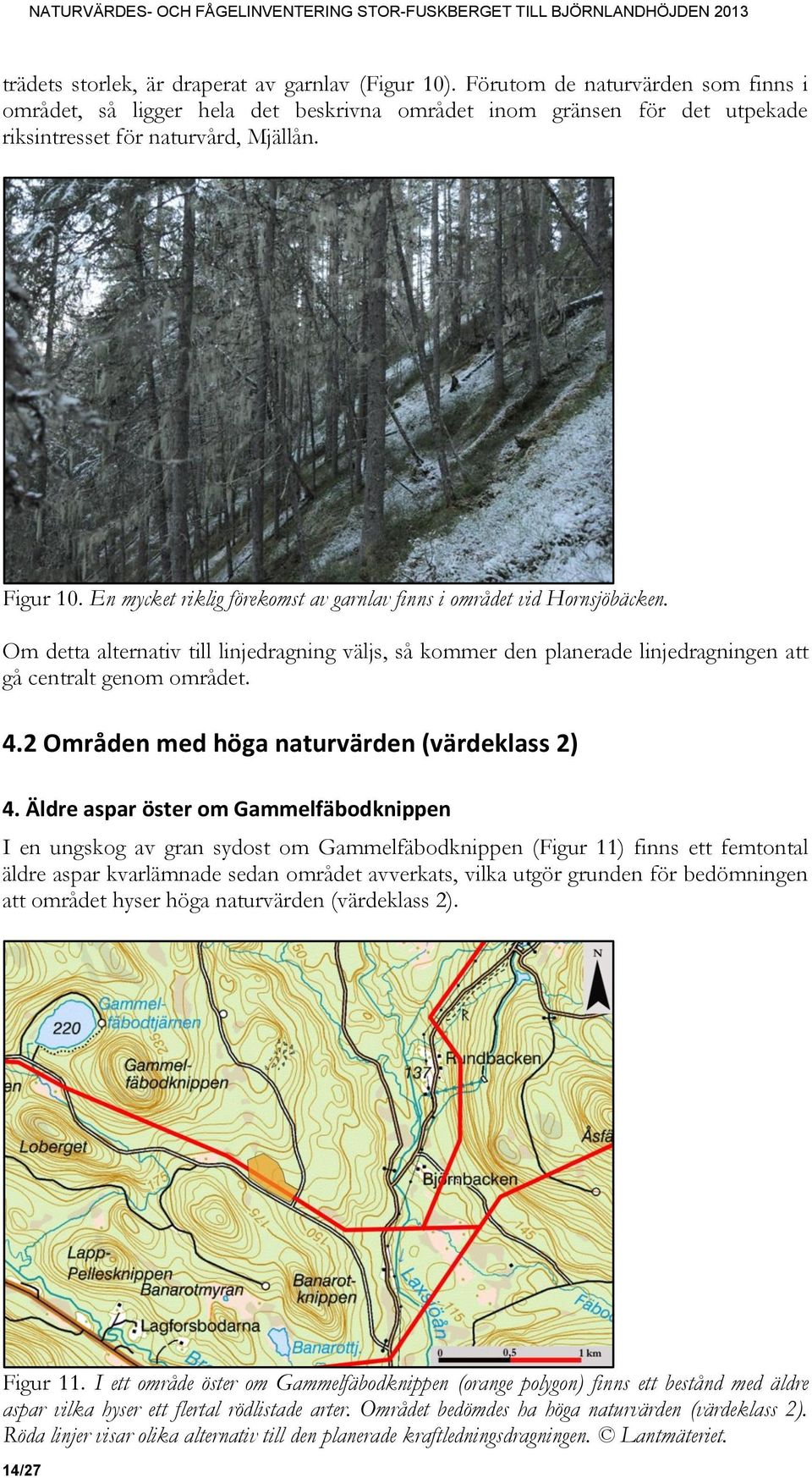 4.2 Områden med höga naturvärden (värdeklass 2) 4.