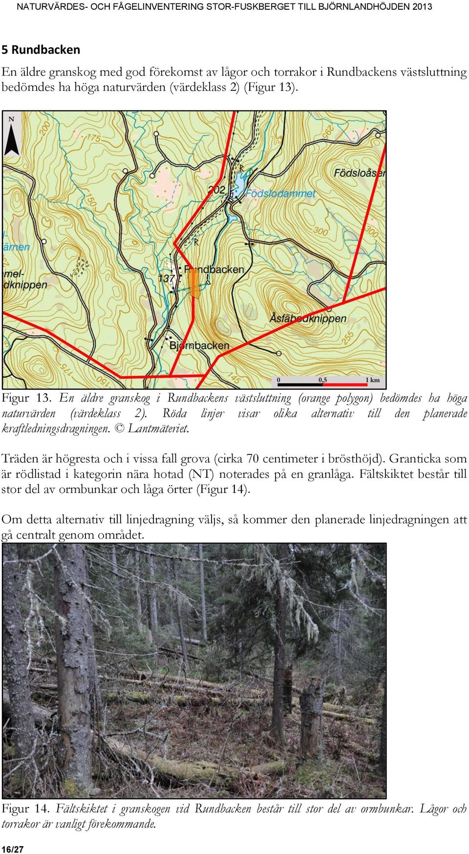 Träden är högresta och i vissa fall grova (cirka 70 centimeter i brösthöjd). Granticka som är rödlistad i kategorin nära hotad (NT) noterades på en granlåga.